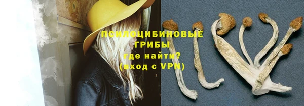 дмт Алексеевка