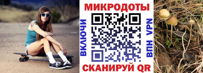 Псилоцибиновые грибы ЛСД Тейково