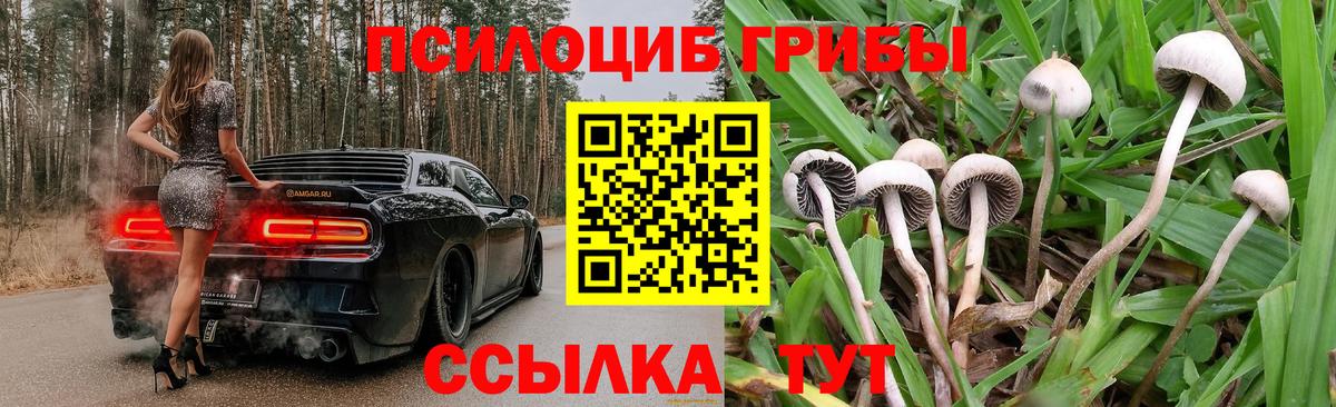 Галлюциногенные грибы мухоморы  Вход с VPN  Тейково 